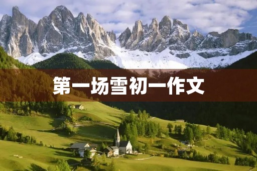第一场雪初一作文