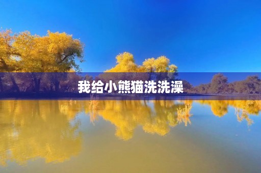 我给小熊猫洗洗澡 我给小熊猫洗洗澡