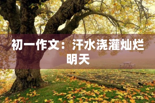 初一作文：汗水浇灌灿烂明天