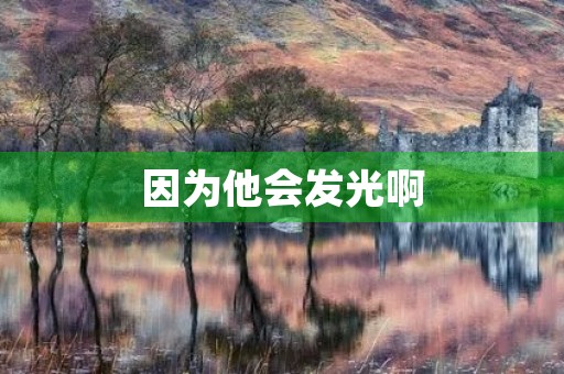 因为他会发光啊 因为他会发光啊