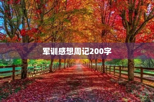 军训感想周记200字