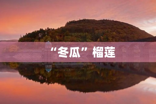 “冬瓜”榴莲 “冬瓜”榴莲