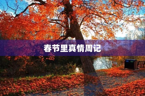 春节里真情周记