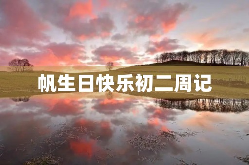 帆生日快乐初二周记 帆生日快乐初二周记