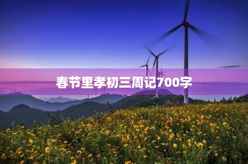 春节里孝初三周记700字
