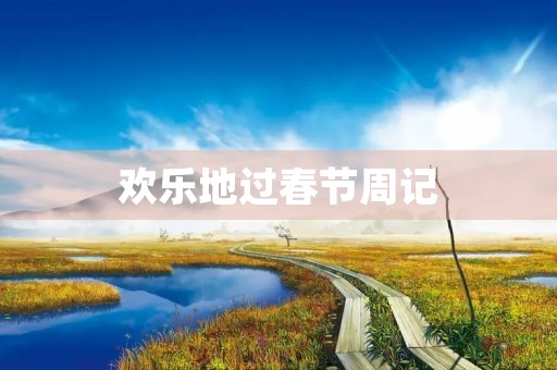 欢乐地过春节周记