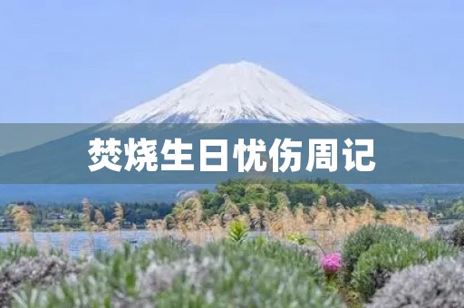 焚烧生日忧伤周记 焚烧生日忧伤周记