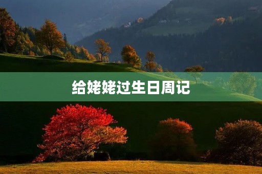 给姥姥过生日周记