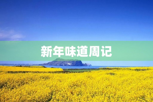 新年味道周记 新年味道周记