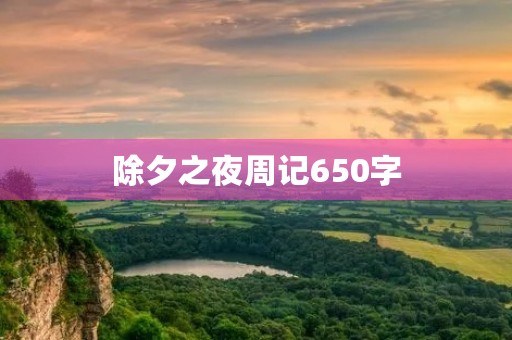 除夕之夜周记650字 除夕之夜周记650字