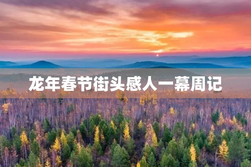 龙年春节街头感人一幕周记 龙年春节街头感人一幕周记