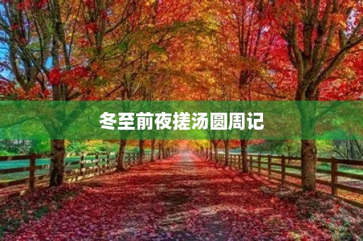 冬至前夜搓汤圆周记