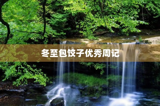 冬至包饺子优秀周记