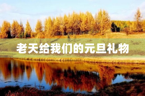 老天给我们的元旦礼物 老天给我们的元旦礼物