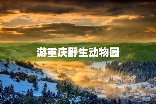 游重庆野生动物园 游重庆野生动物园