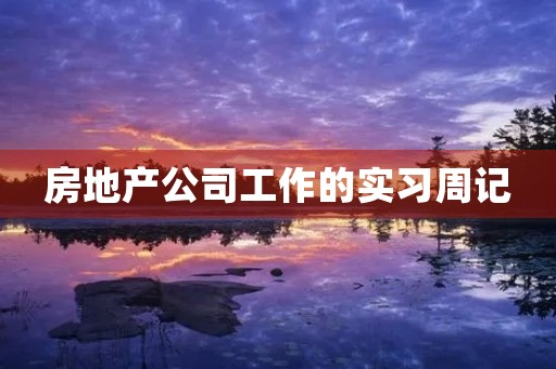 房地产公司工作的实习周记 房地产公司工作的实习周记
