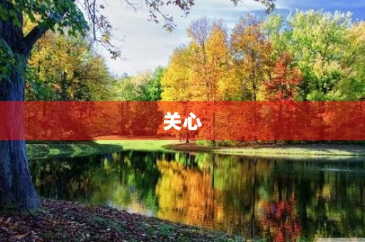 关心