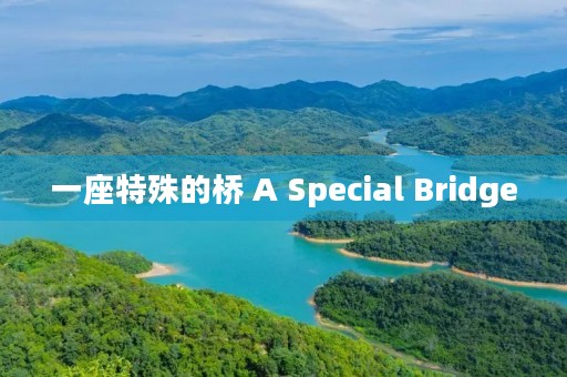 一座特殊的桥 A Special Bridge 一座特殊的桥 A Special Bridge