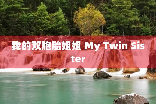 我的双胞胎姐姐 My Twin Sister