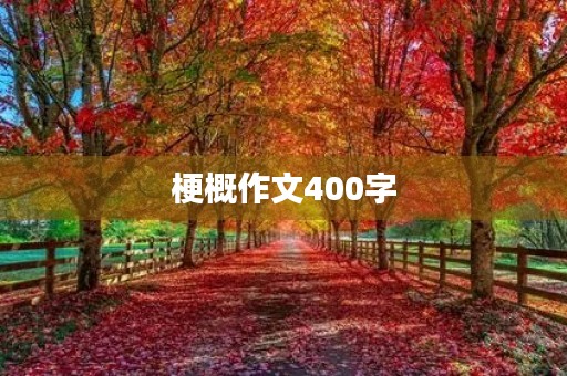 梗概作文400字 梗概作文400字