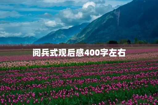 阅兵式观后感400字左右