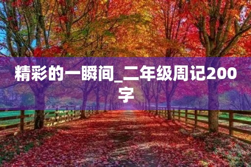 精彩的一瞬间_二年级周记200字