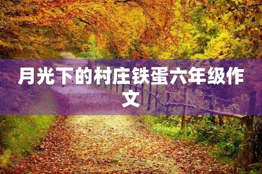 月光下的村庄铁蛋六年级作文