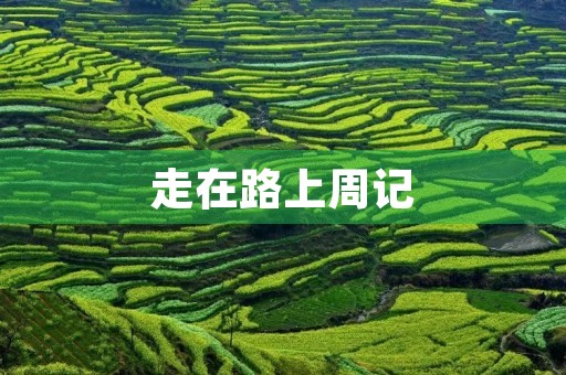 走在路上周记