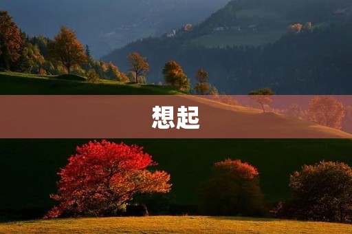 想起