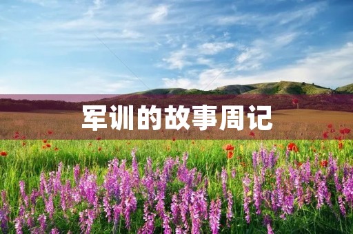军训的故事周记