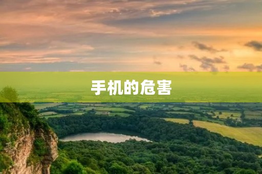 手机的危害 手机的危害
