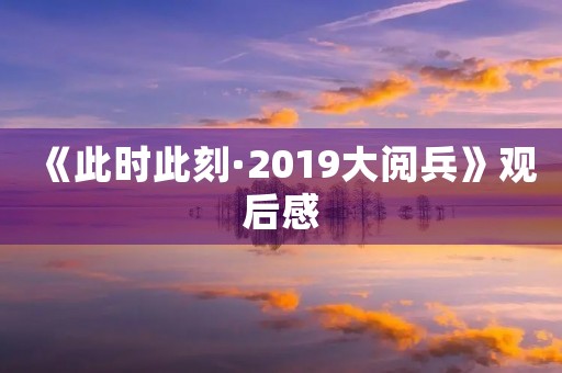 《此时此刻·2019大阅兵》观后感