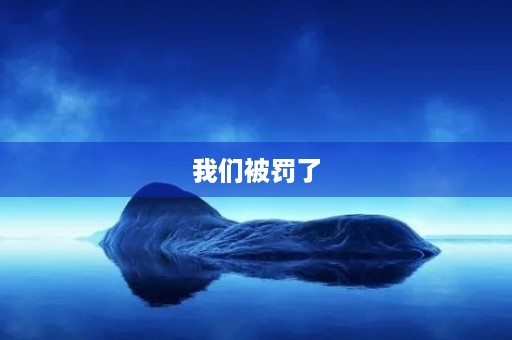 我们被罚了 我们被罚了