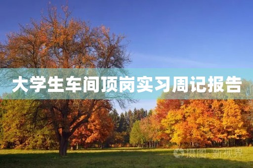 大学生车间顶岗实习周记报告