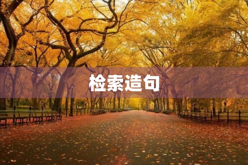 检索造句