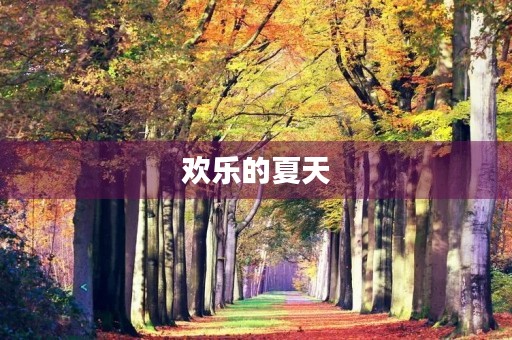 欢乐的夏天 欢乐的夏天