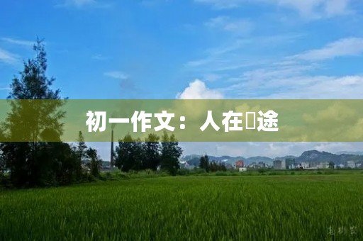 初一作文：人在囧途