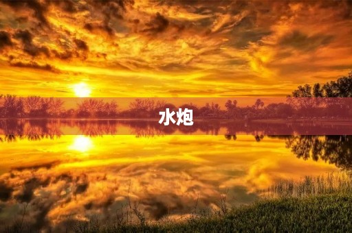 水炮
