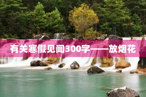 有关寒假见闻300字——放烟花 有关寒假见闻300字——放烟花
