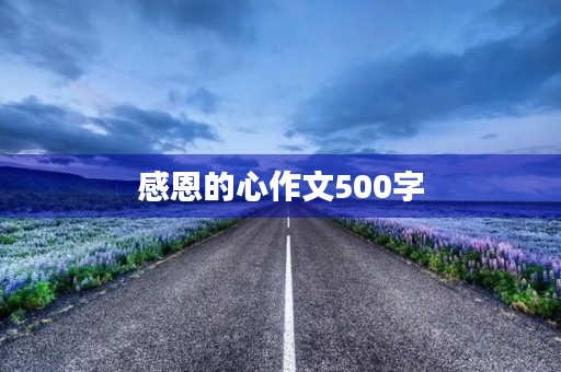 感恩的心作文500字