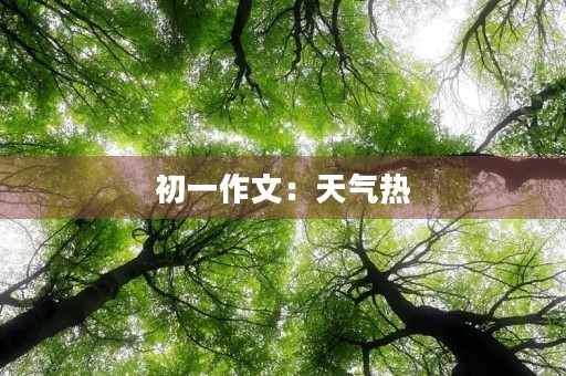 初一作文：天气热