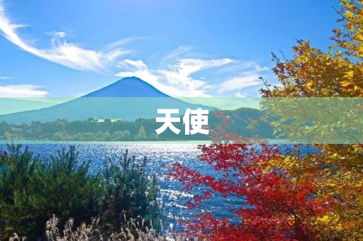 天使 天使