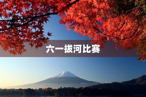 六一拔河比赛 六一拔河比赛