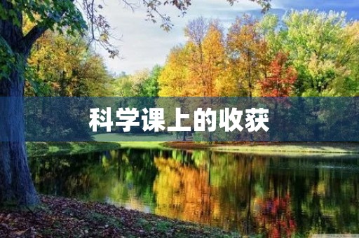 科学课上的收获 科学课上的收获