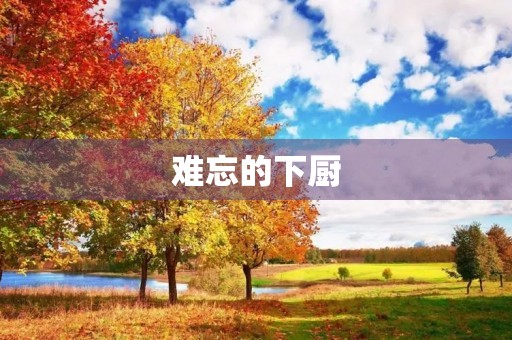 难忘的下厨