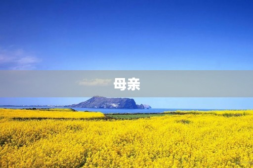 母亲