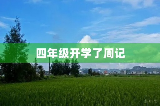 四年级开学了周记