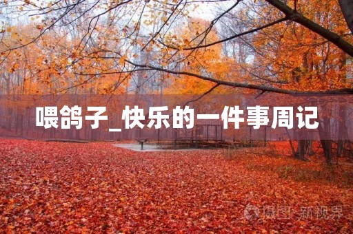 喂鸽子_快乐的一件事周记 喂鸽子_快乐的一件事周记