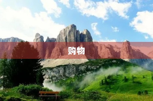 购物 购物
