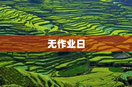 无作业日 无作业日